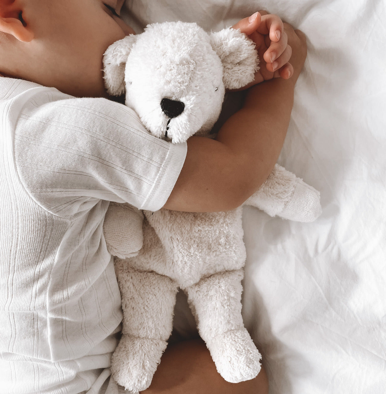 Cuddly Animal Polarbear small