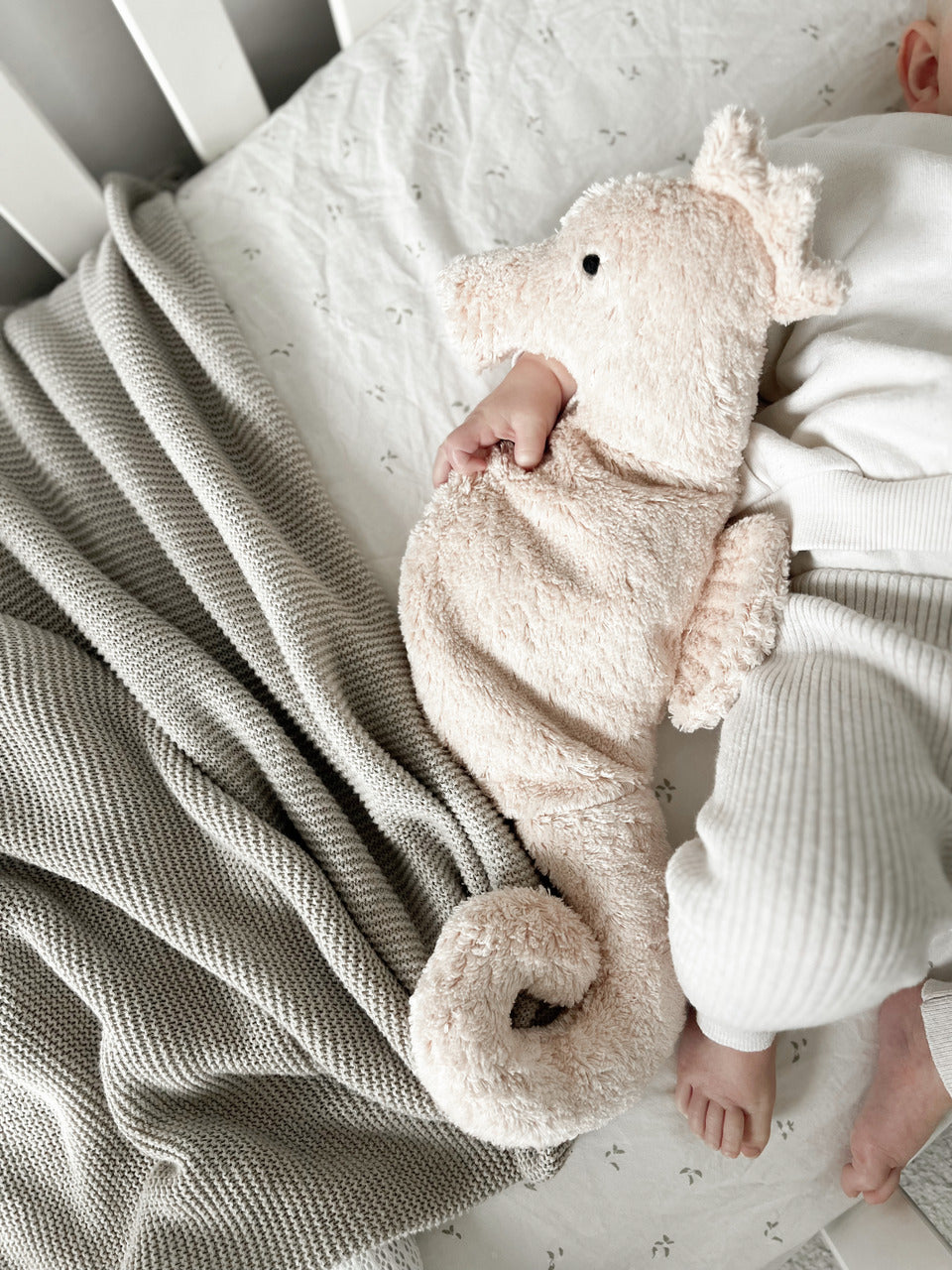 Cuddly Animal Seahorse small