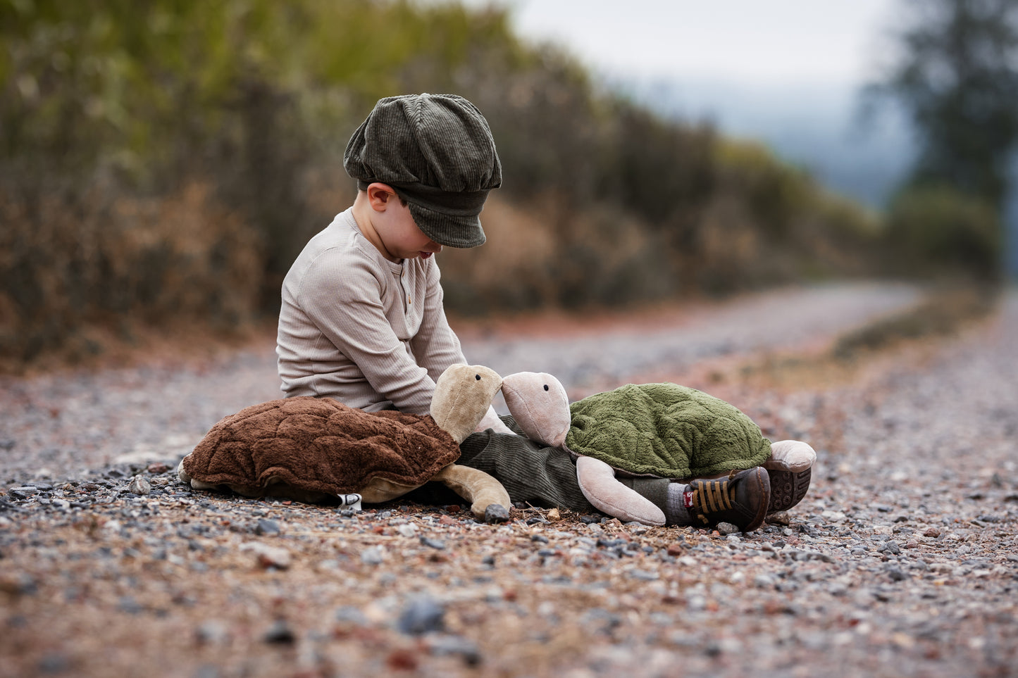 Cuddly Animal Turtle large | brown