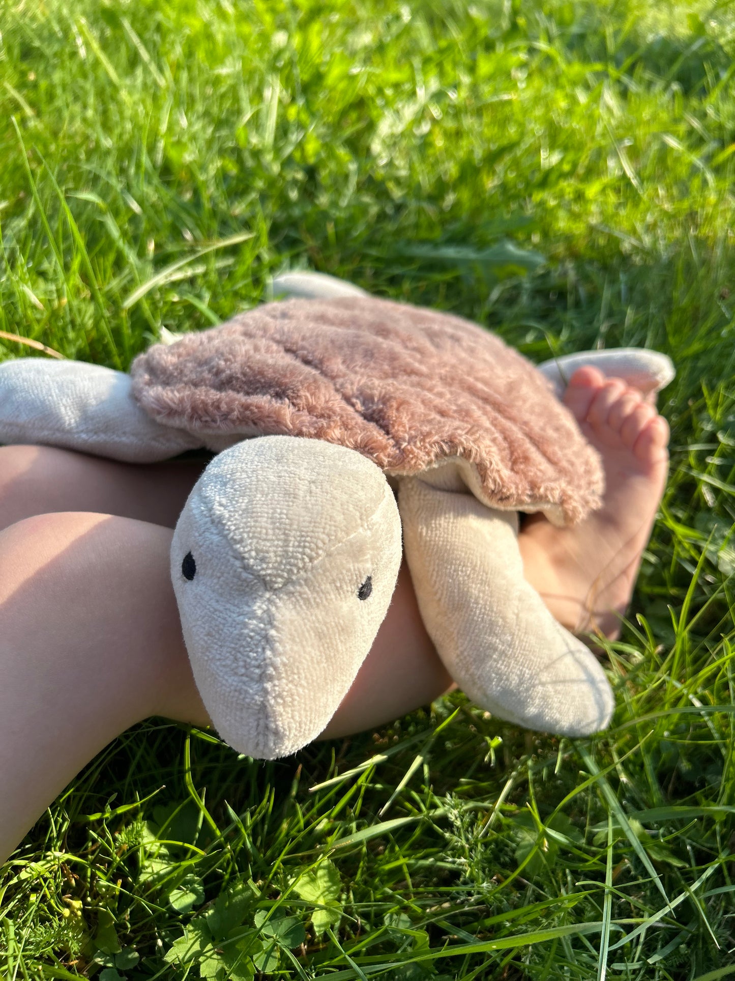 Cuddly Animal Turtle small | rosewood