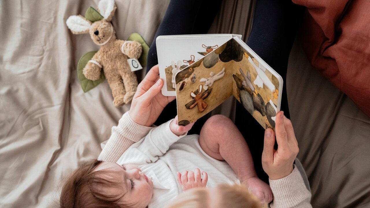 Book | Senger narrates - Flying high