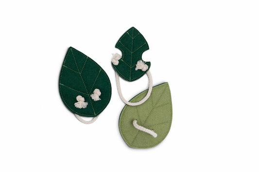 Wing set | Flying high