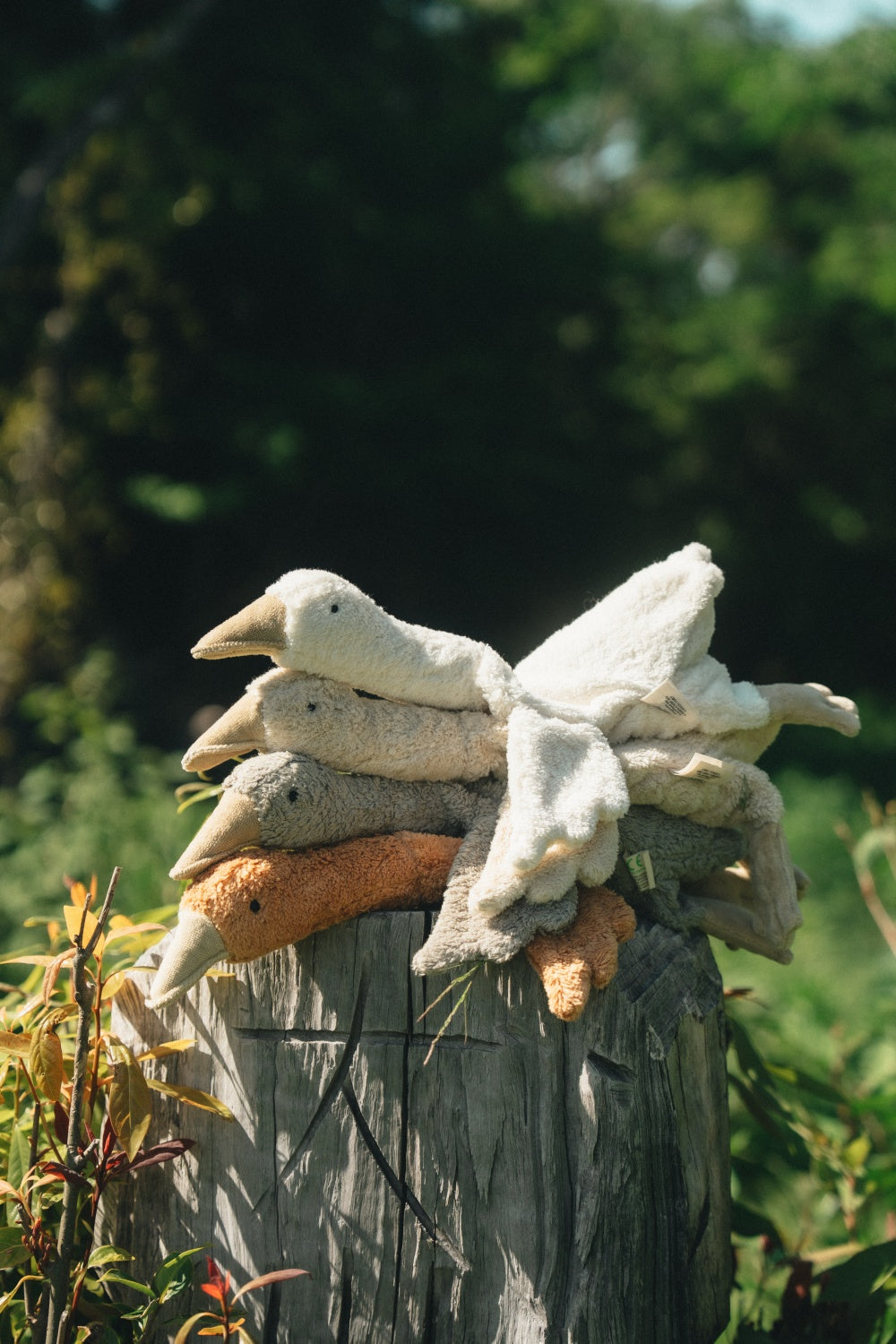 Cuddly Animal Goose ホワイト (S)｜SENGER Naturwelt – SENGER