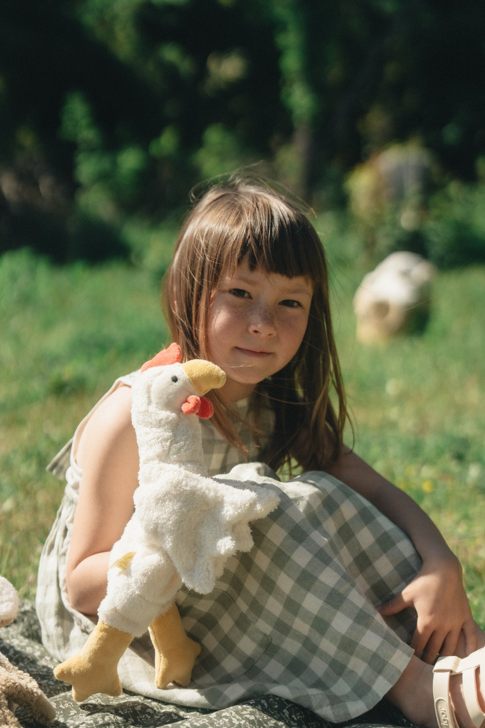 Hand puppet Chicken