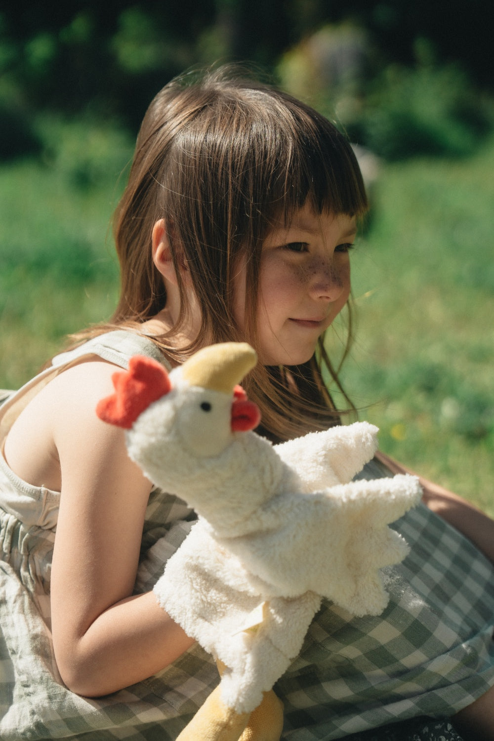 Hand puppet Chicken
