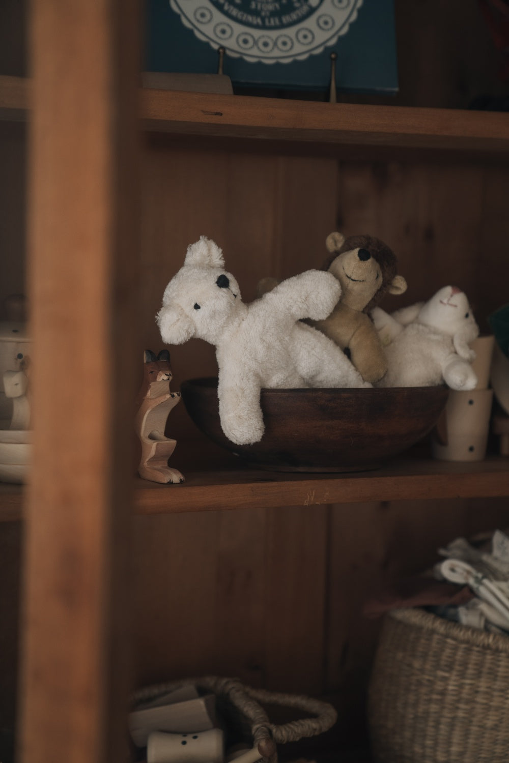 Animal Baby Bear / white