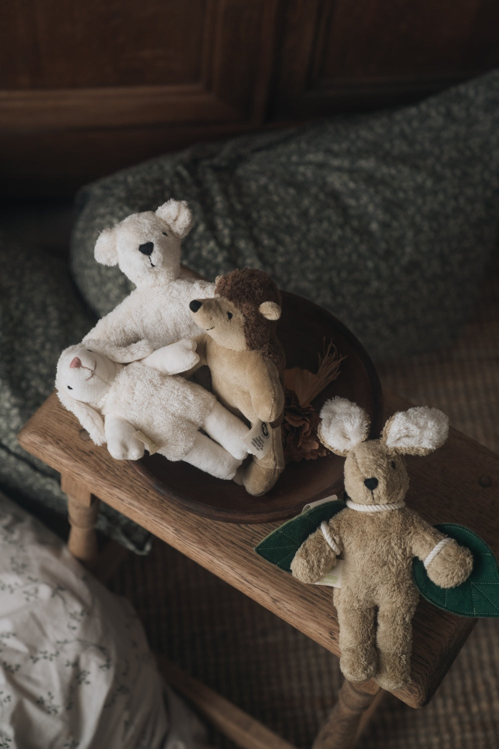 Animal Baby Bear / white