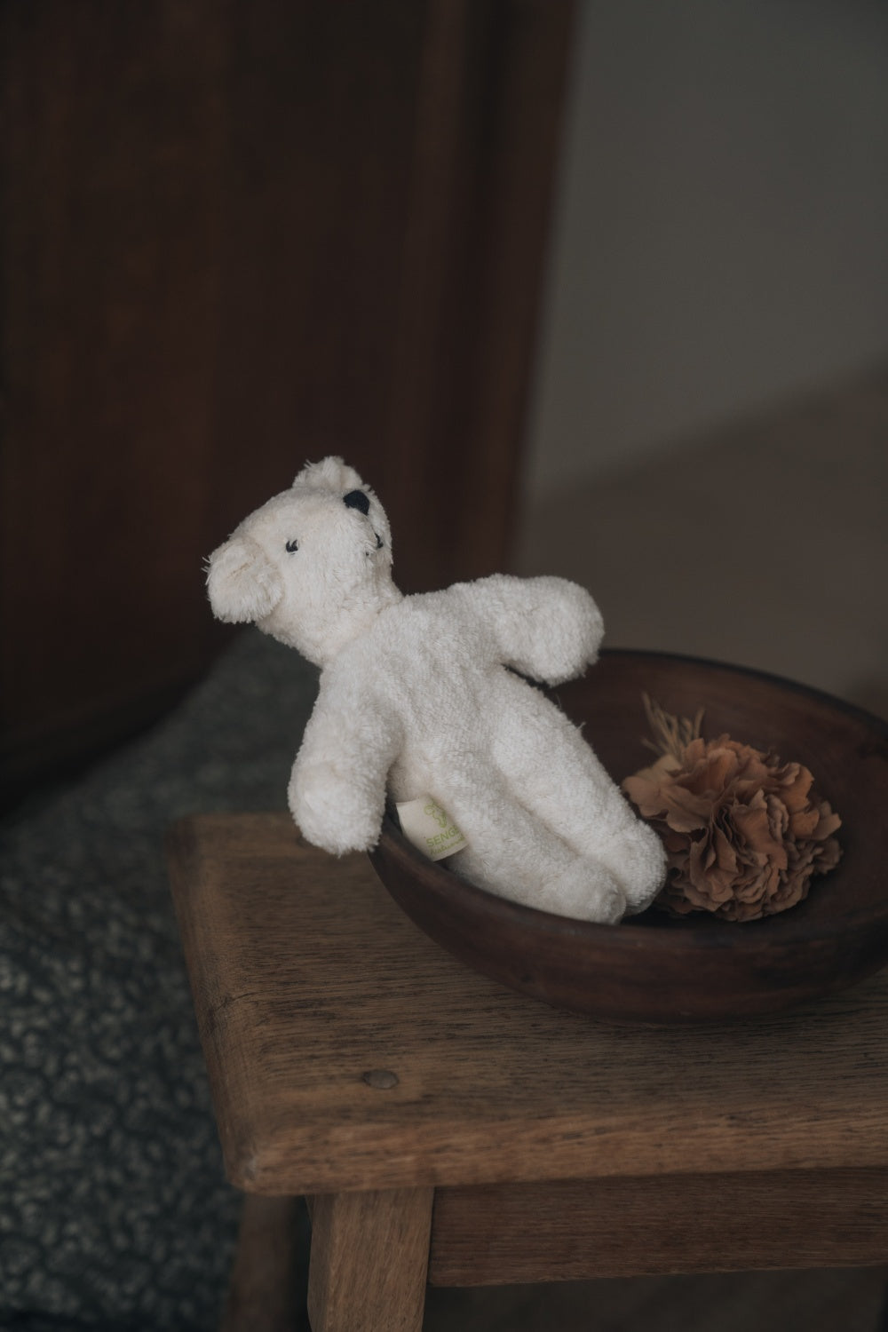 Animal Baby Bear / white