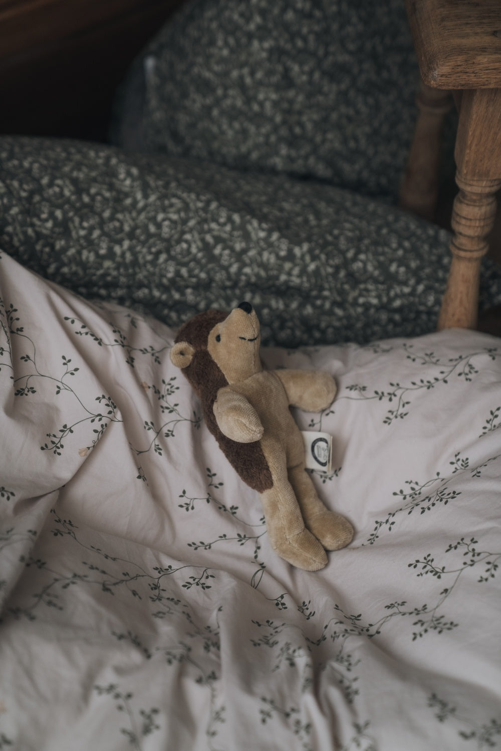 Animal Baby Hedgehog