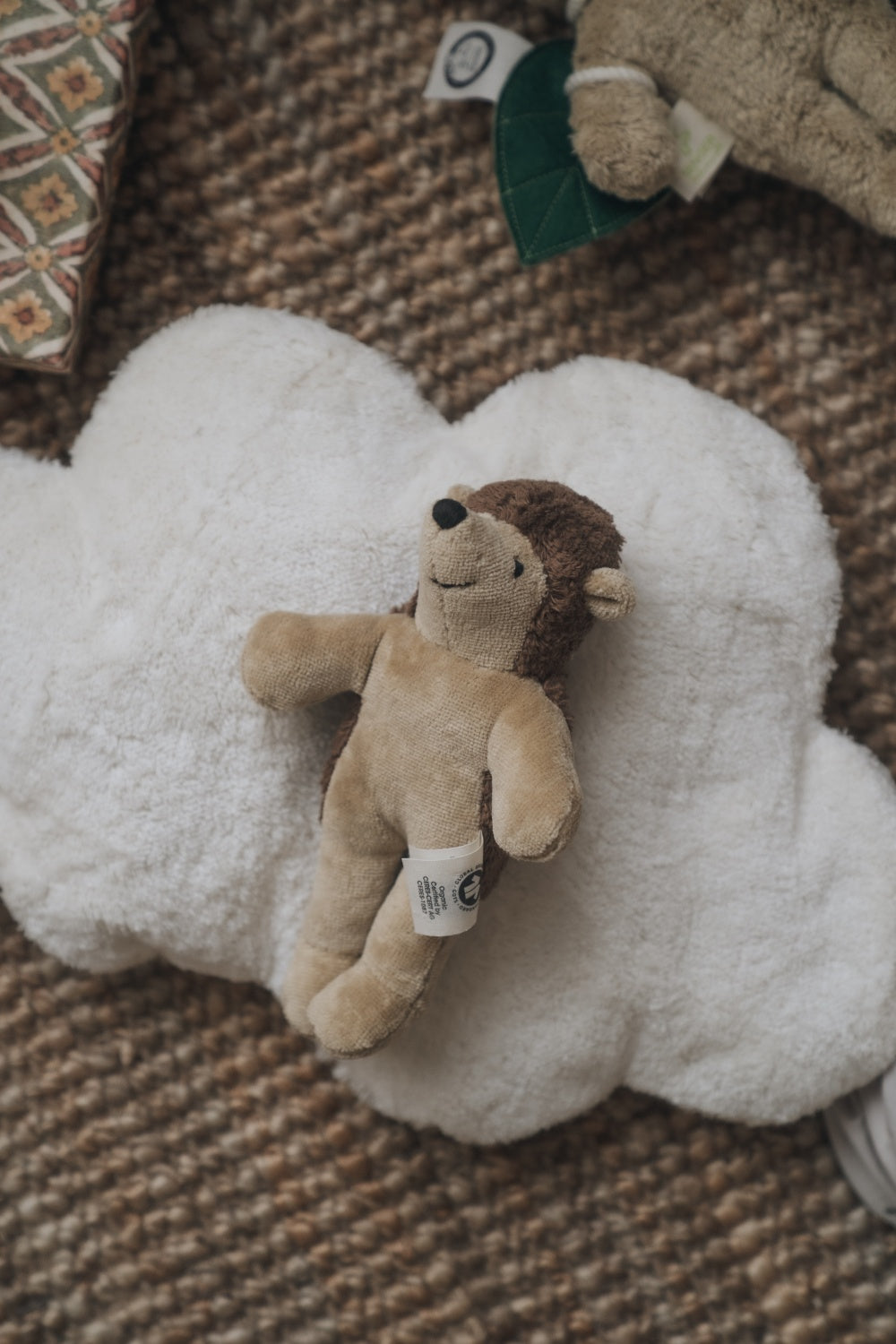 Animal Baby Hedgehog