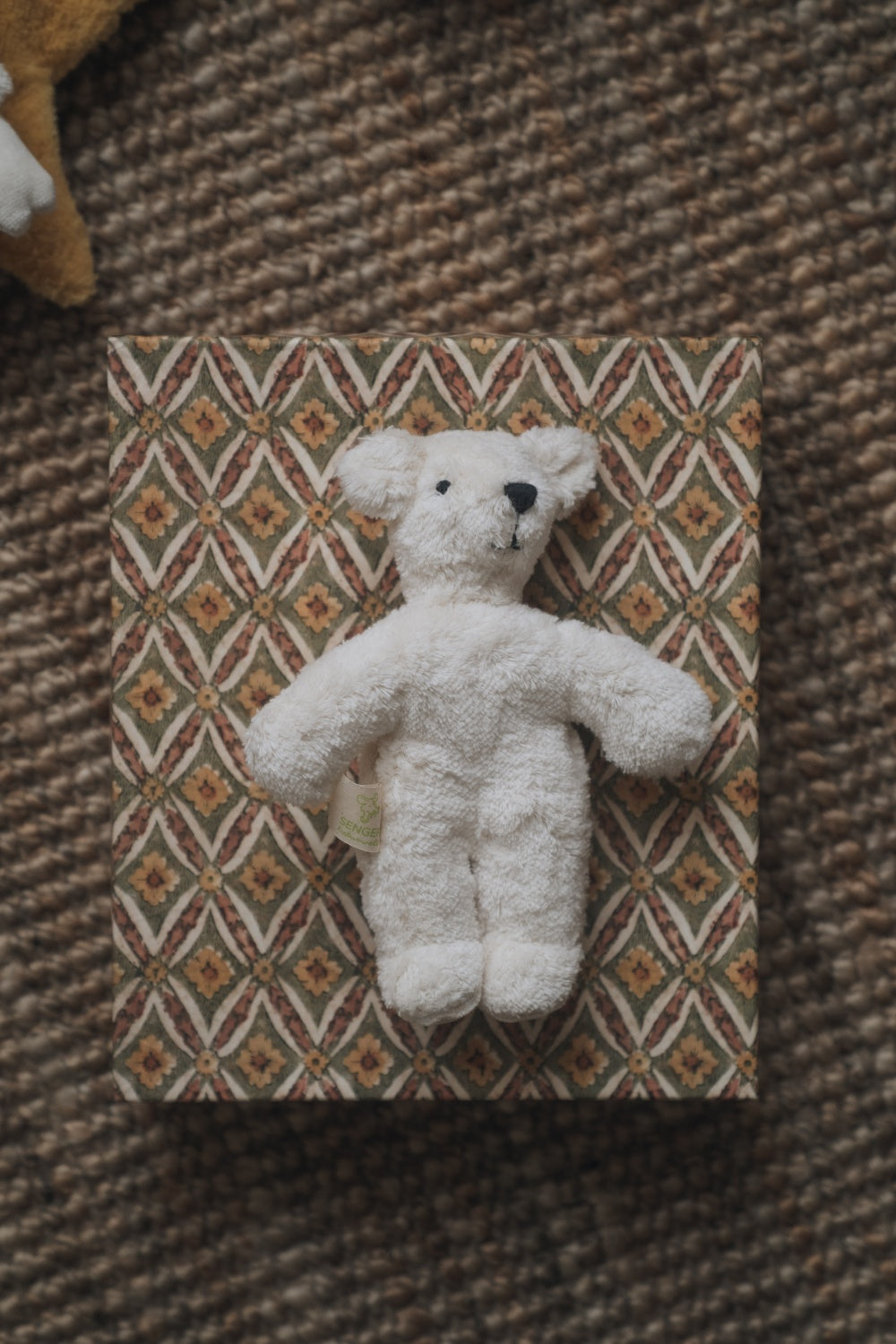 Animal Baby Bear / white