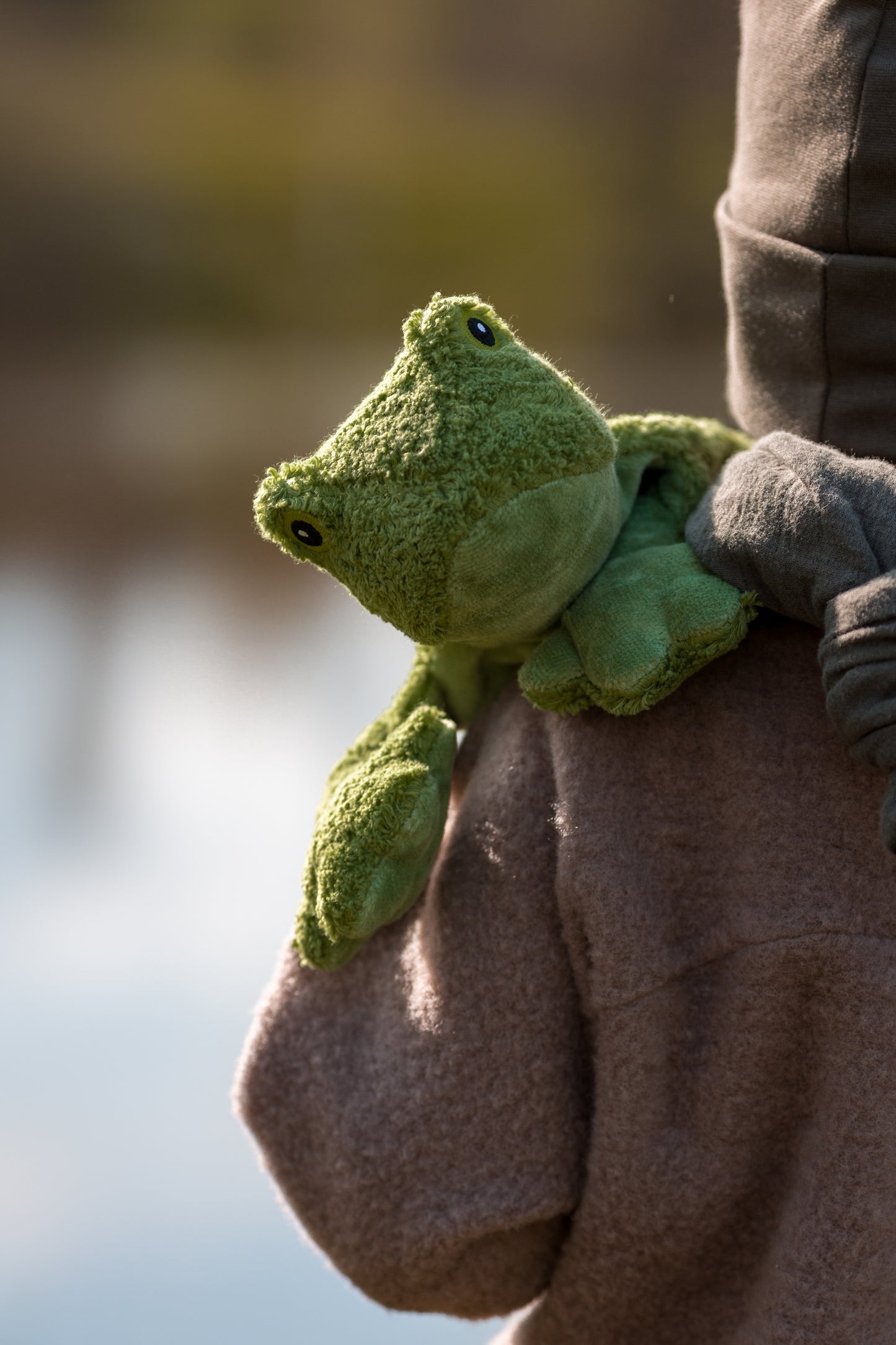 Cuddly Animal Frog small