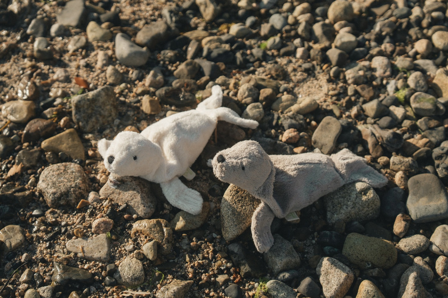 Cuddly Animal Seal small / white
