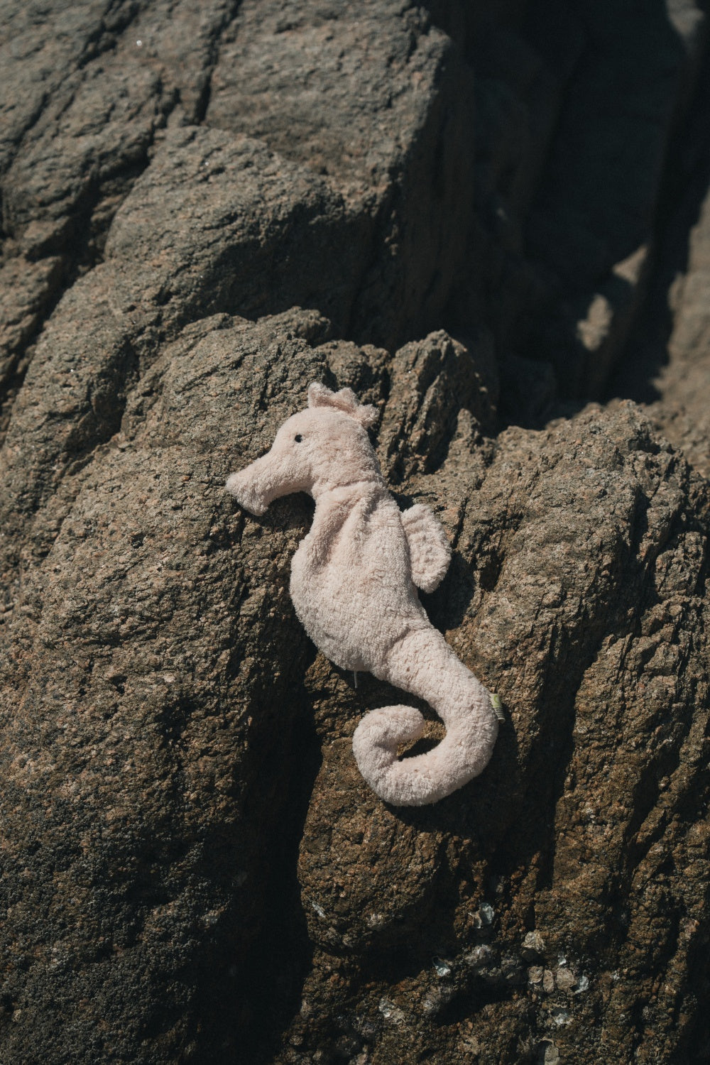 Cuddly Animal Seahorse small