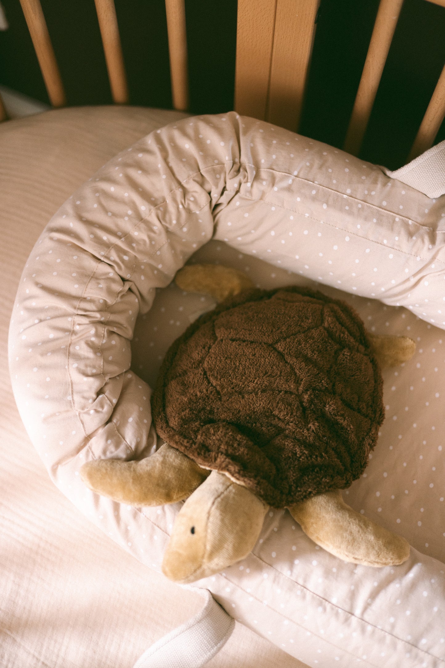 Cuddly Animal Turtle small | brown