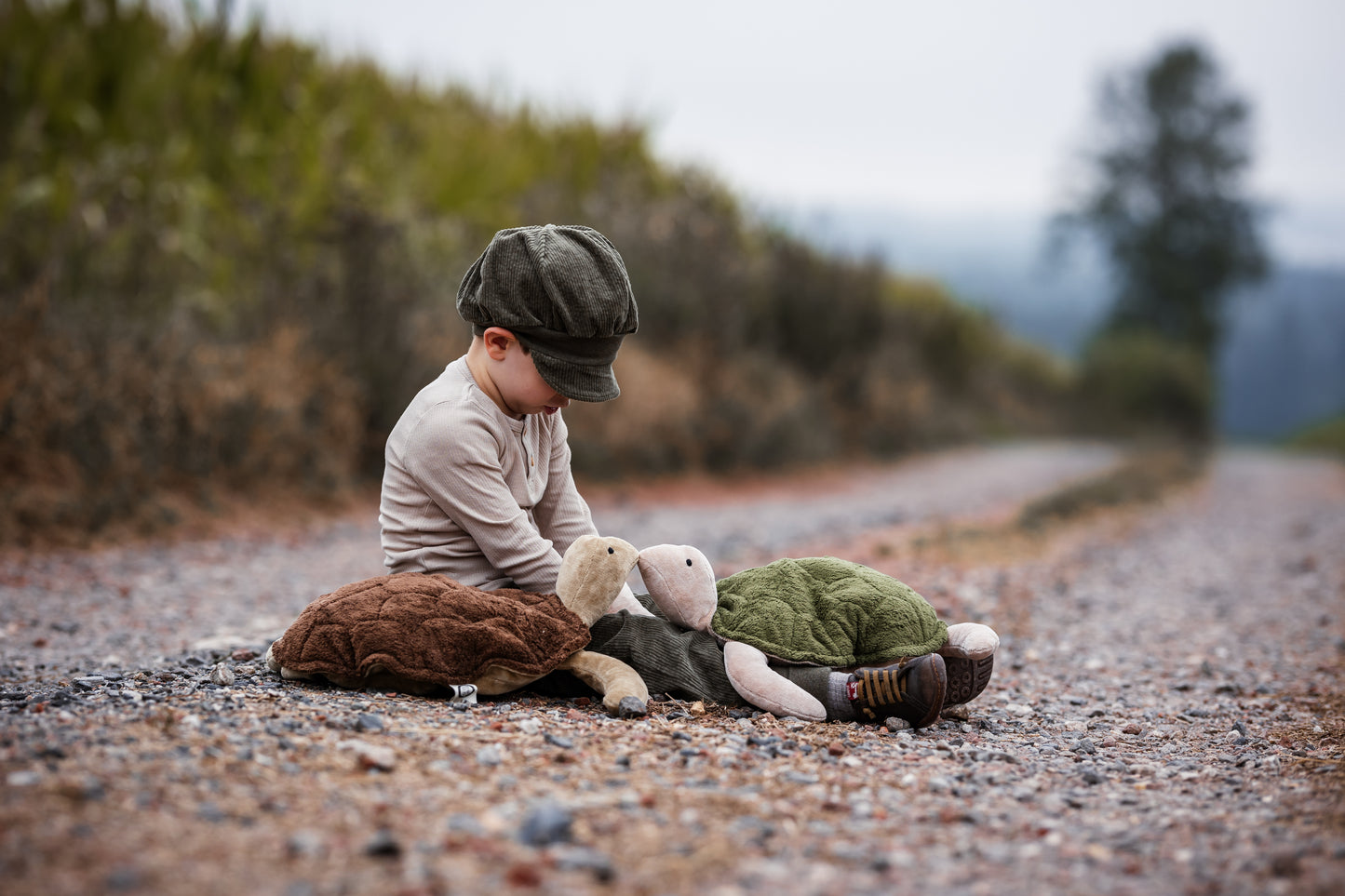 Cuddly Animal Turtle large | fir green