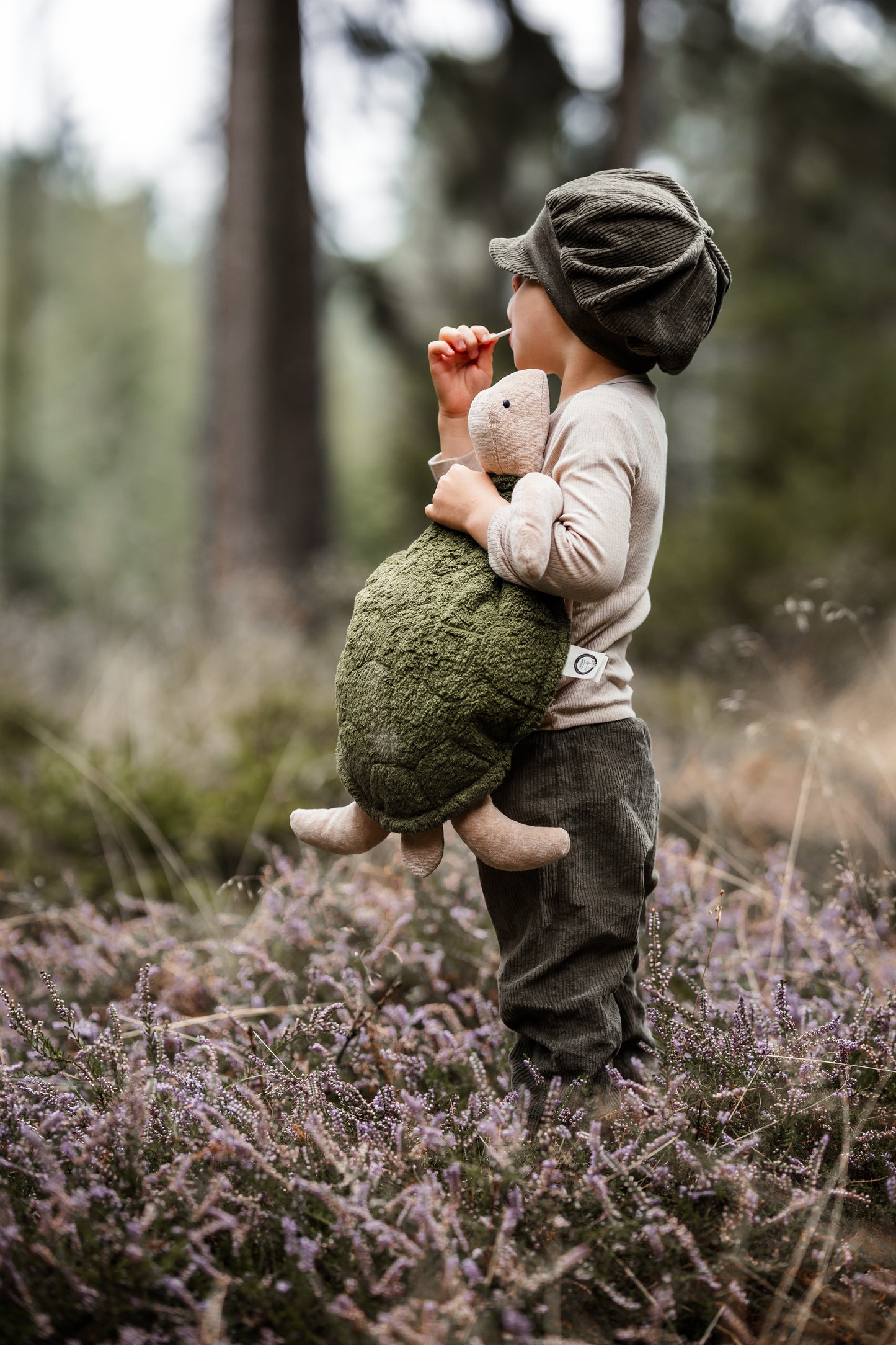 Cuddly Animal Turtle large | fir green