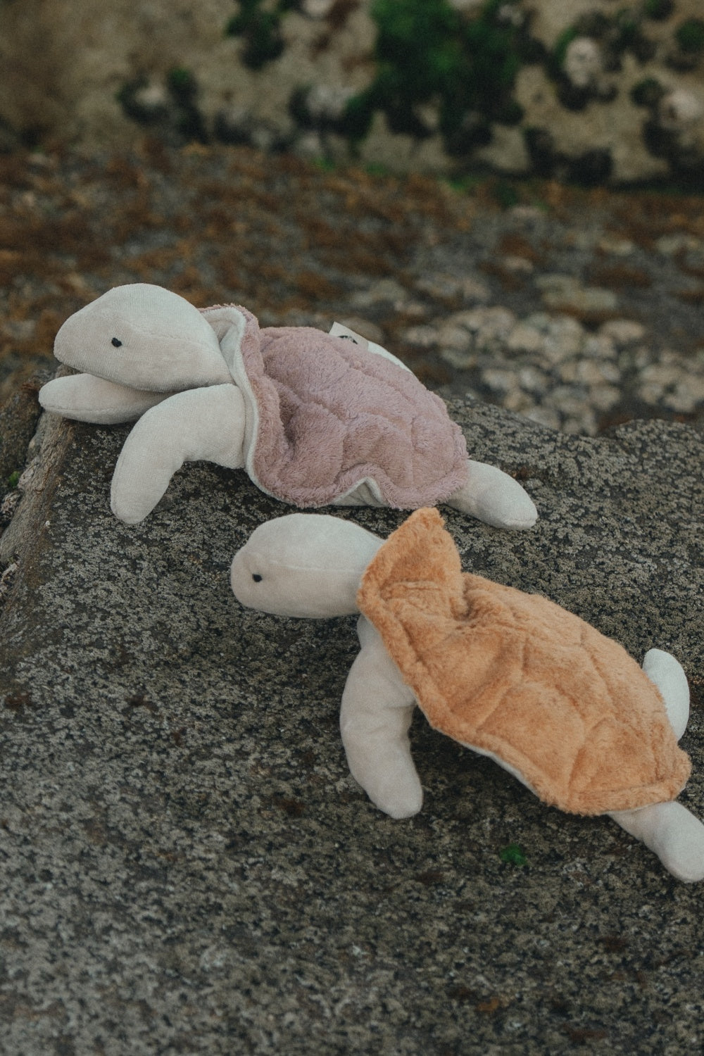 Cuddly Animal Turtle small | rosewood