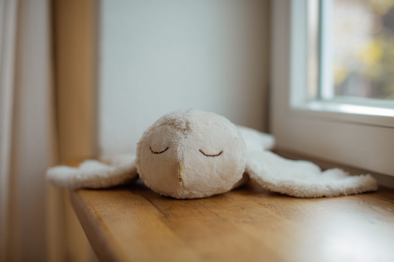 Cuddly animal Snowy Owl small