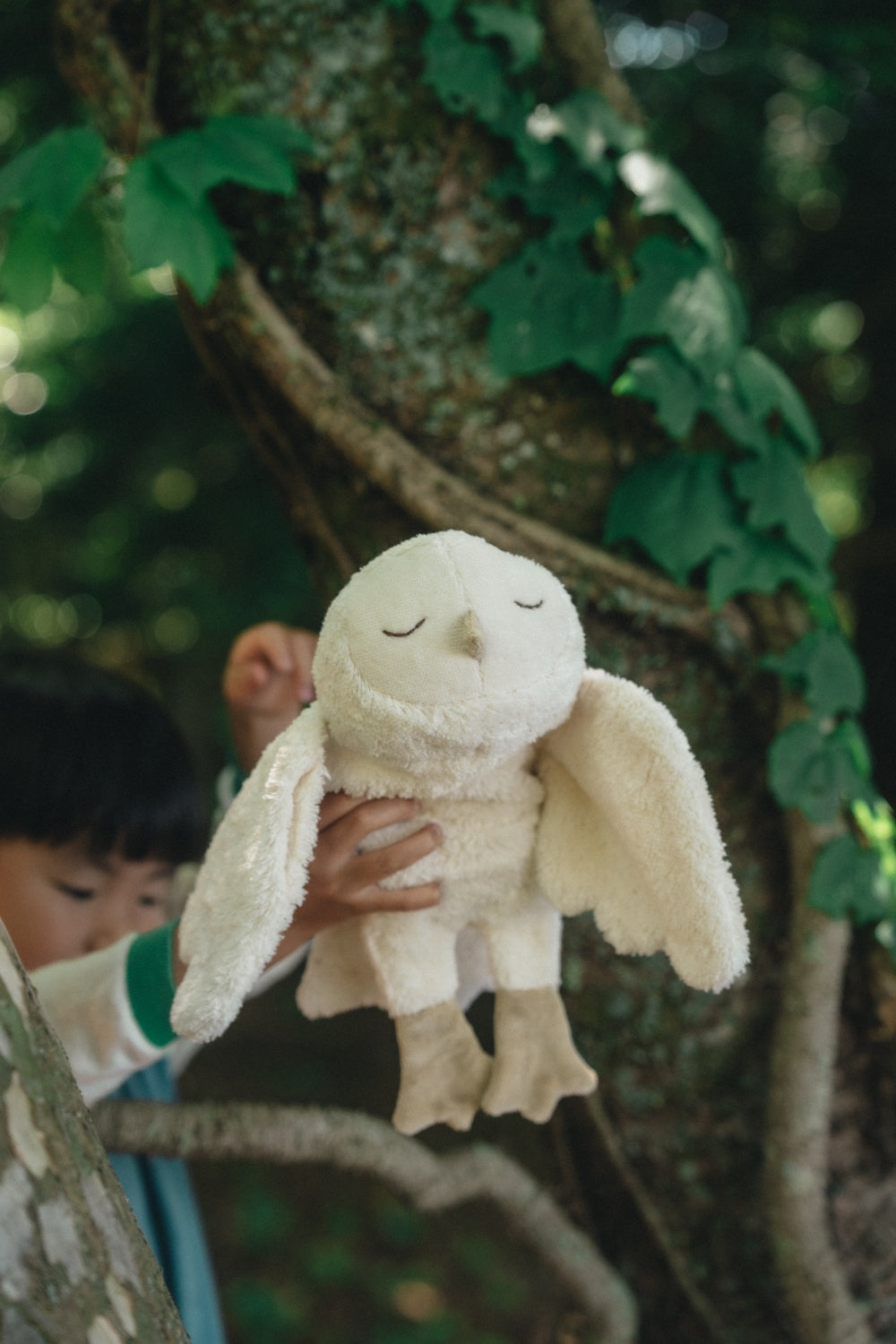 Cuddly animal Snowy Owl small