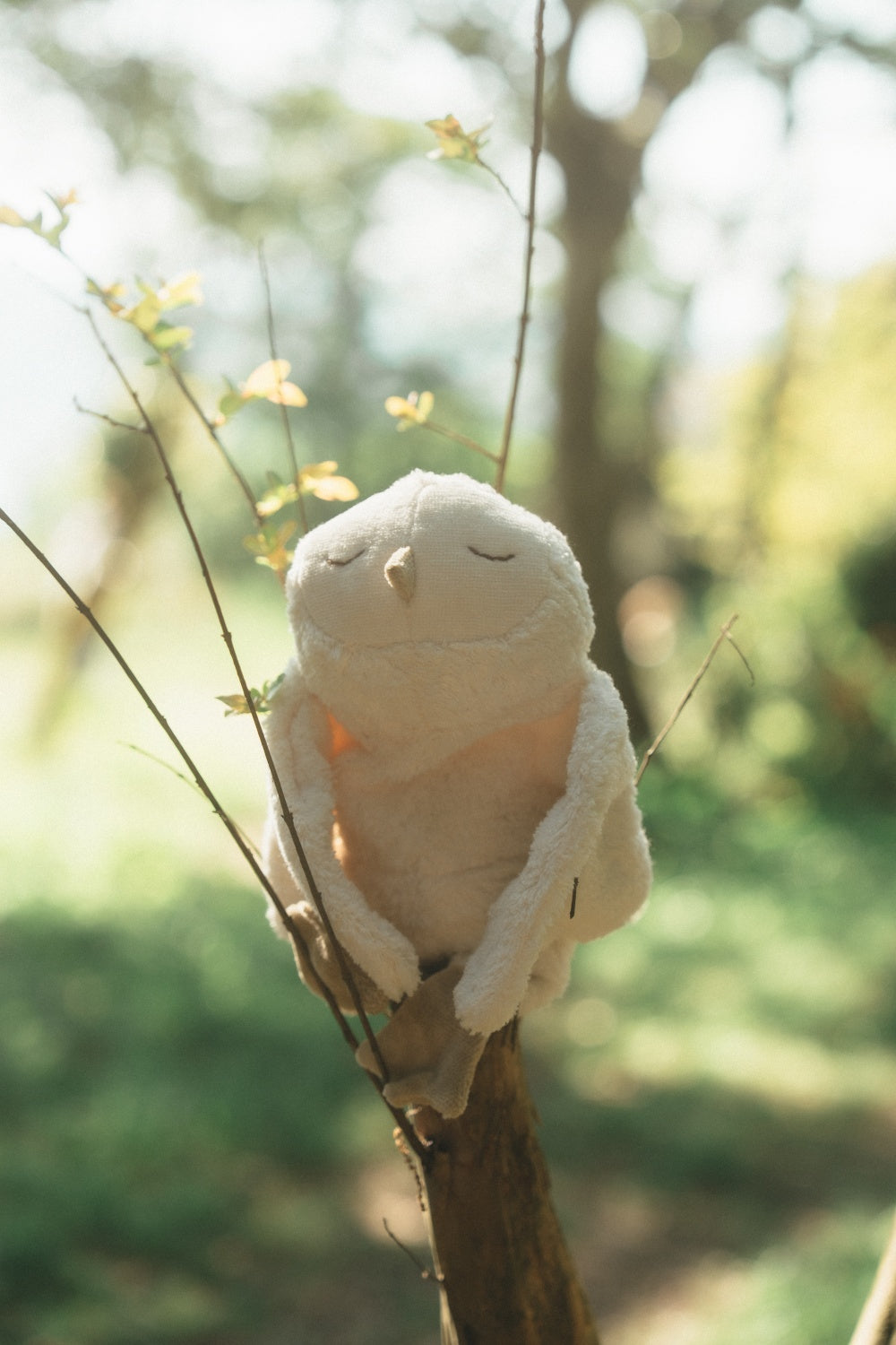 Cuddly animal Snowy Owl small
