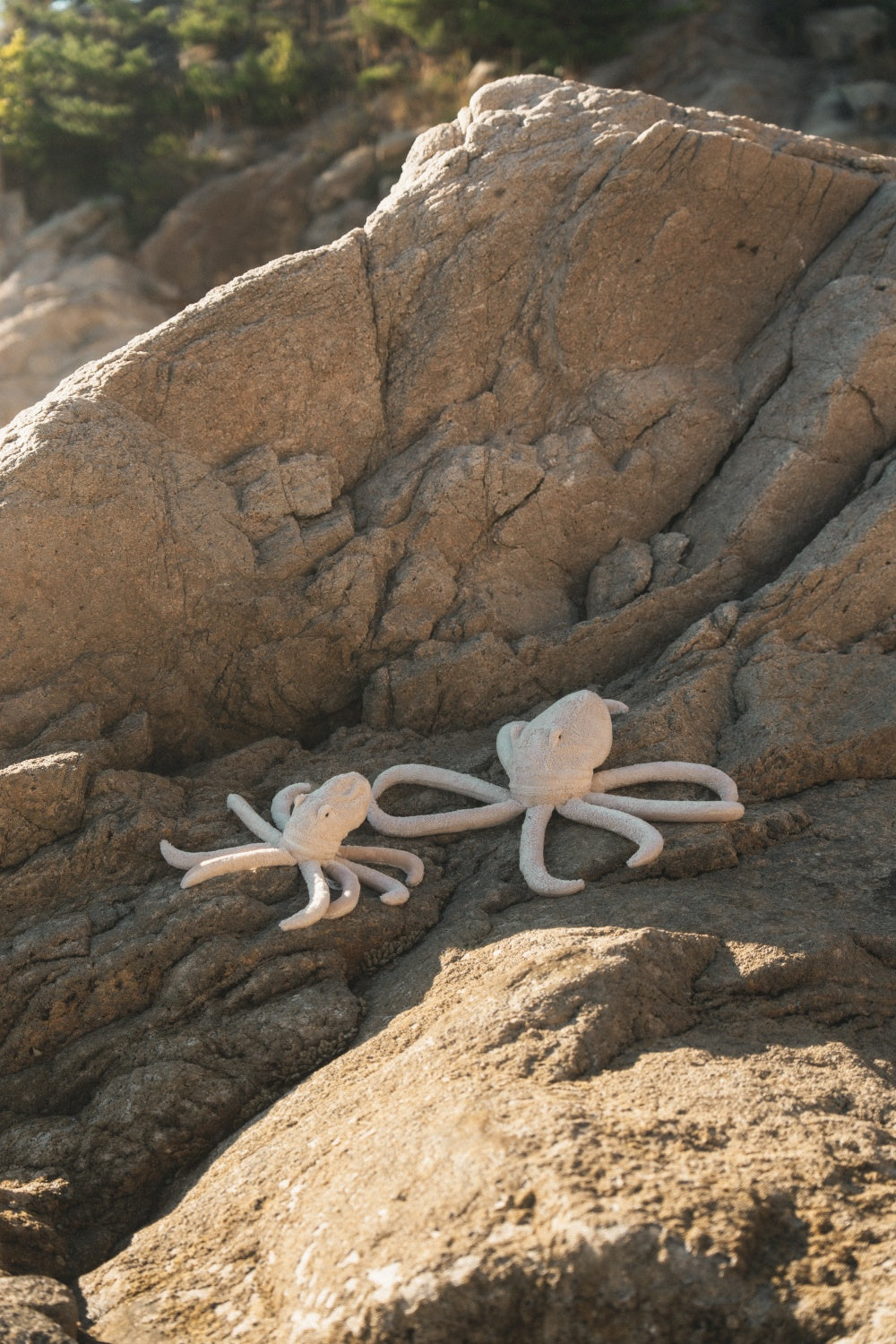 Cuddly Animal Octopus large | powder