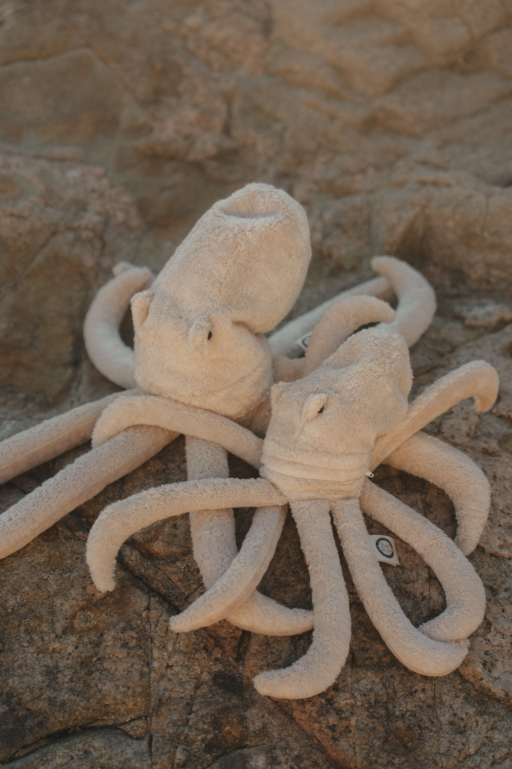Cuddly Animal Octopus large | powder
