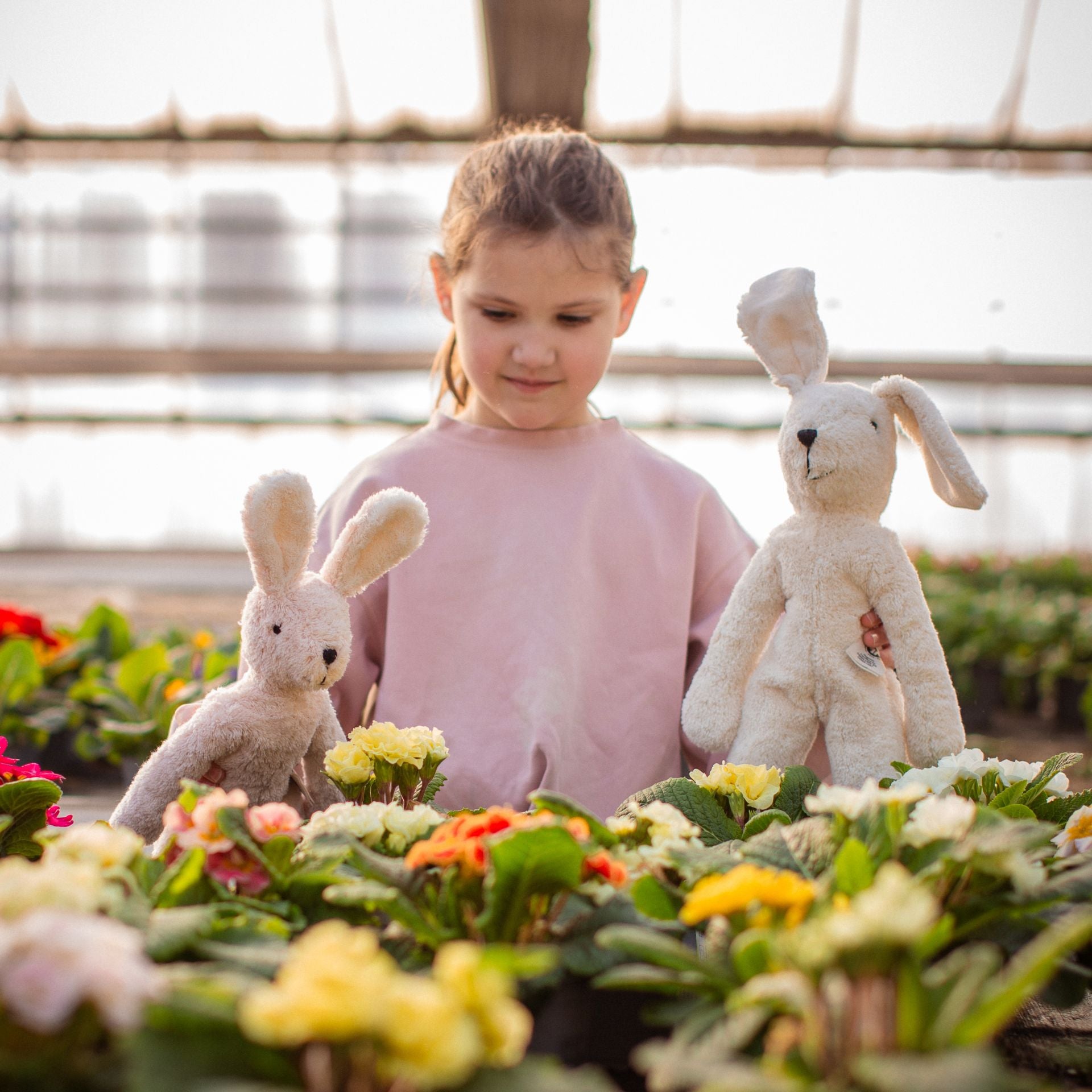 日本限定 桜ラビット Japan limited SAKURA Rabbit ｜SENGER Naturwelt