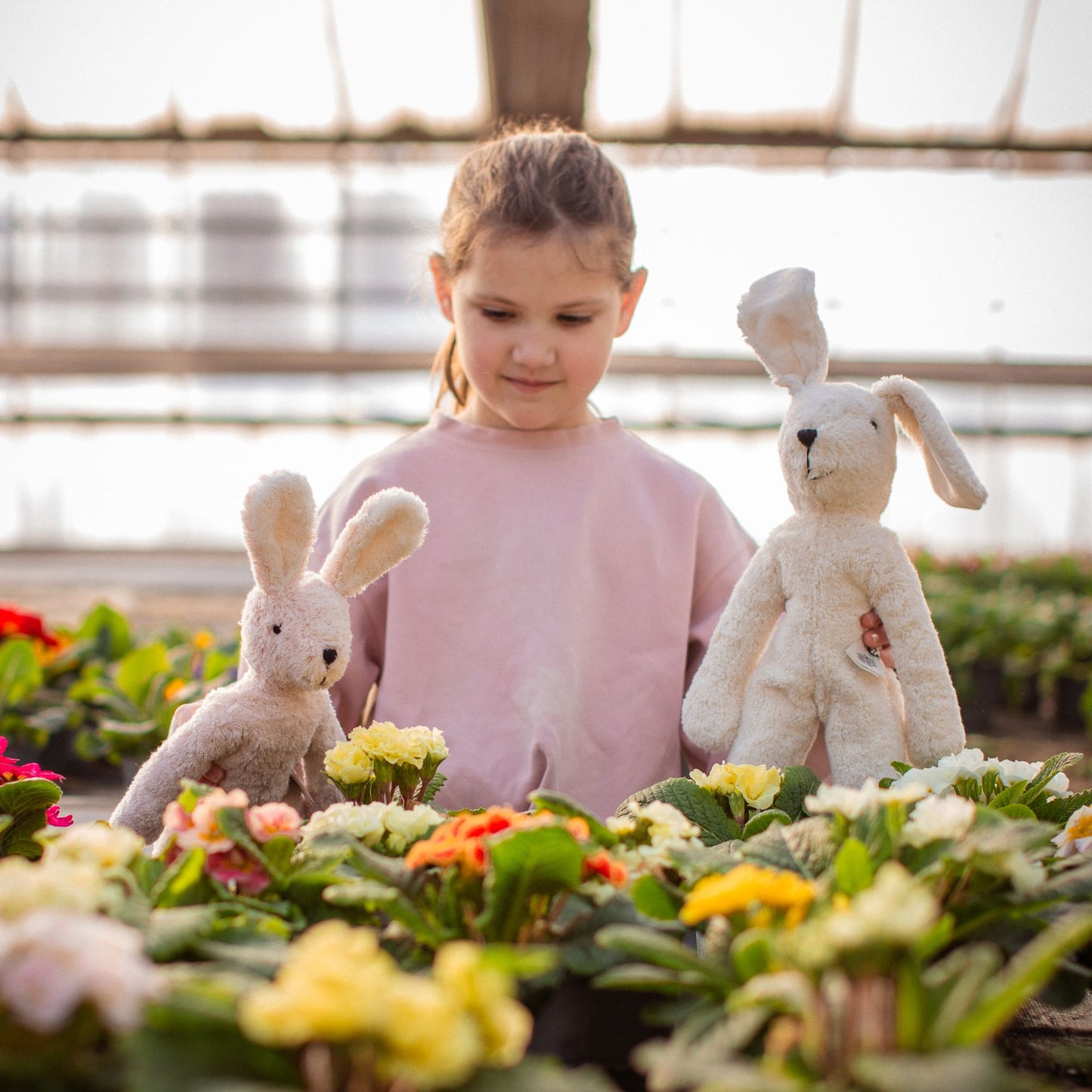 🌸 日本限定  SAKURA Rabbit 🌸