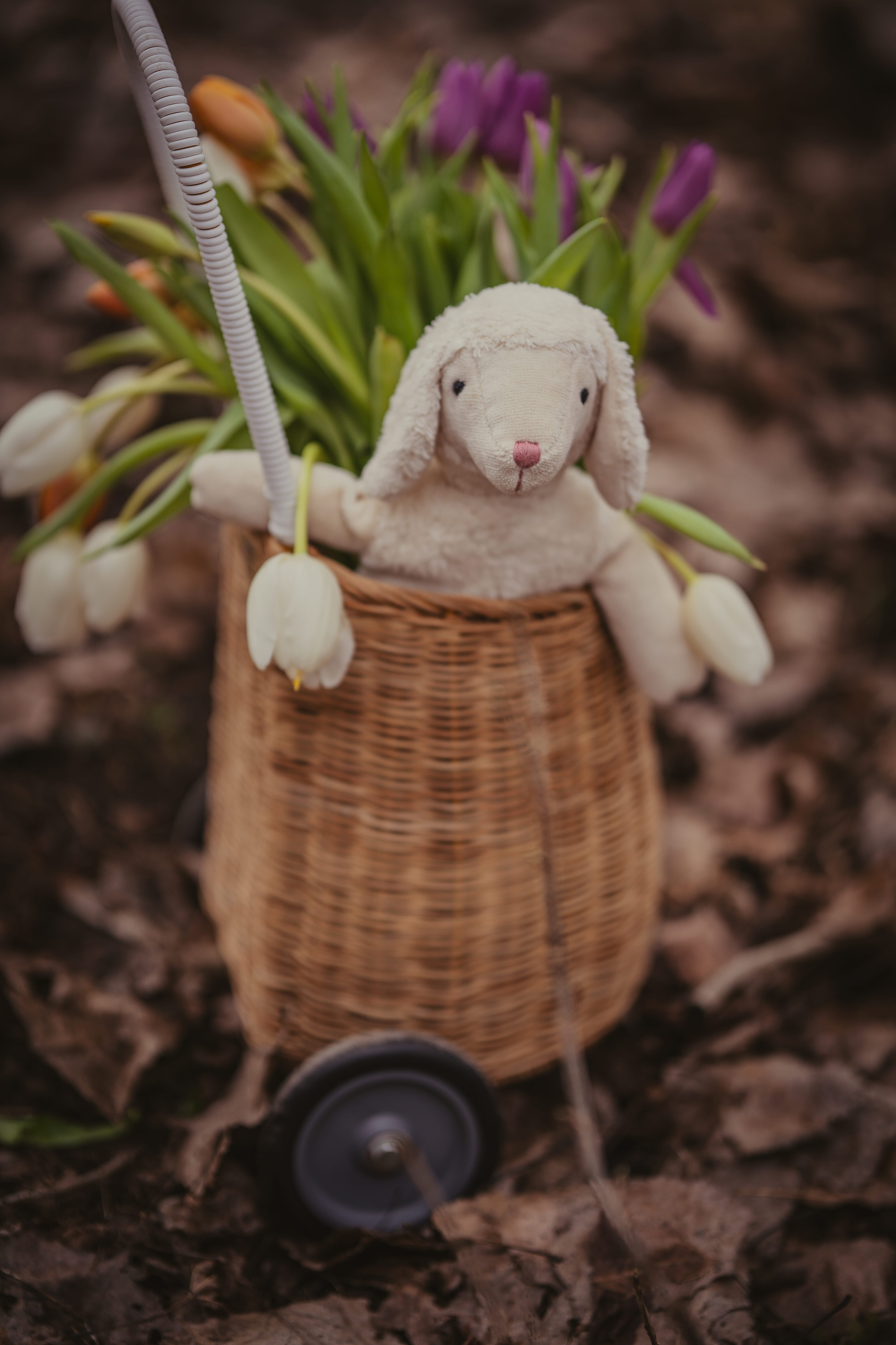 Floppy Animal Sheep ホワイト (S)｜SENGER Naturwelt – SENGER